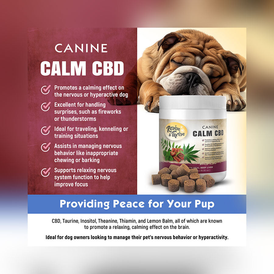 R&T Canine Calm CBD Supplement