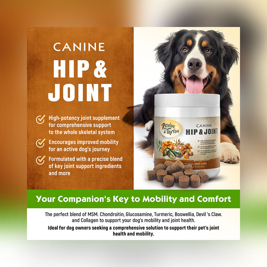 R&T Canine Hip & Joint Supplement
