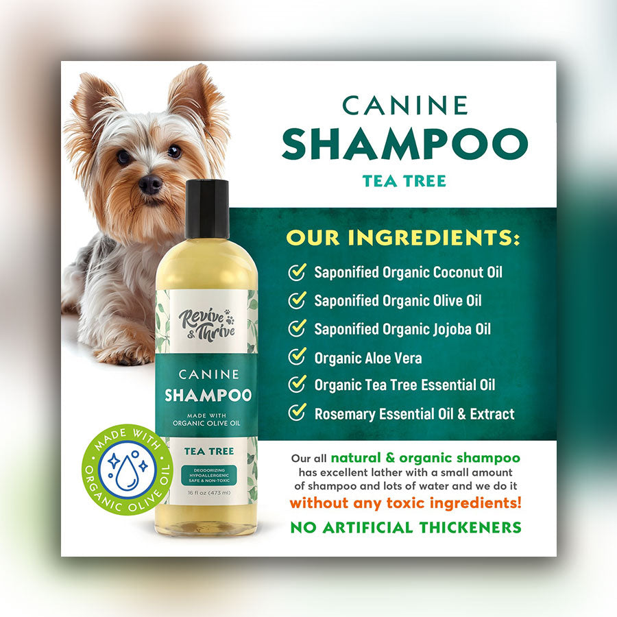 R&T Tea Tree Holistic Relief for Itchy, Irritated Skin Canine Shampoo