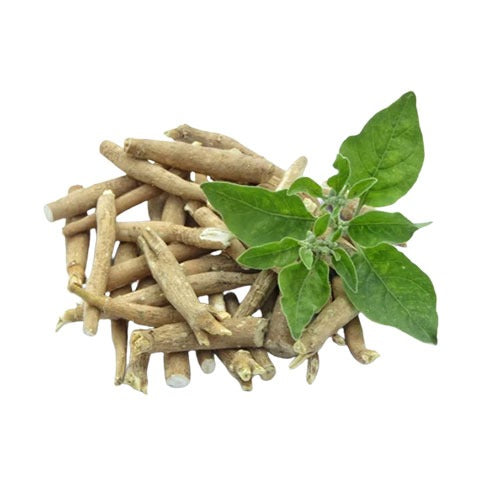 Non - GMO Ashwagandha Root