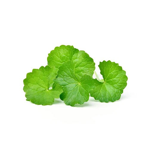 Organic Gotukola