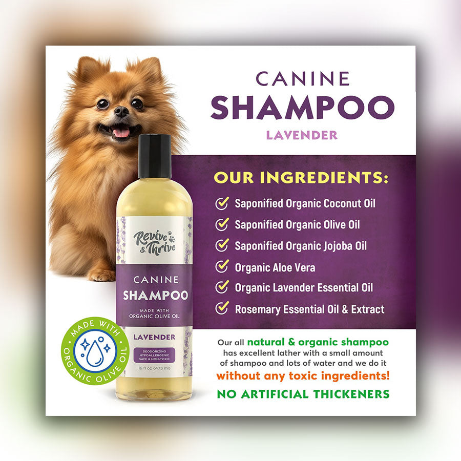 R&T Lavender Relief Canine Shampoo