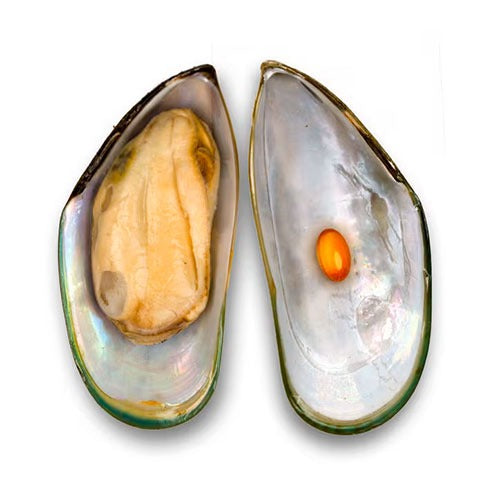 Organic Green Lipped Mussel