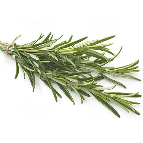 Non-GMO Rosemary