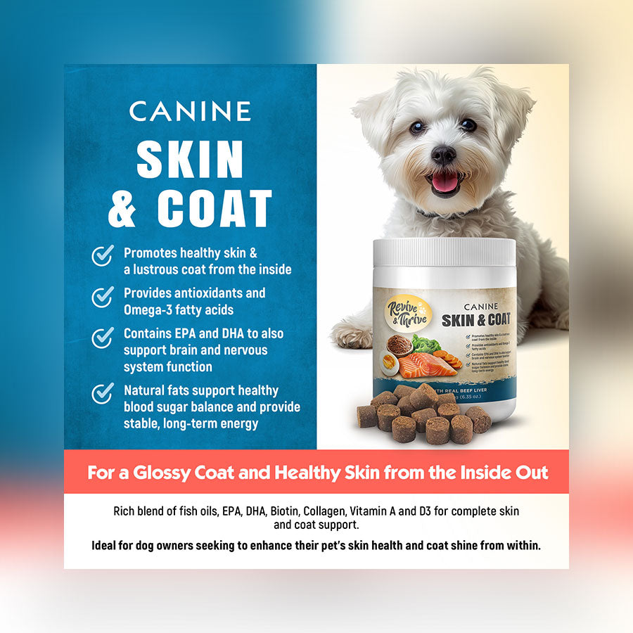 R&T Canine Skin & Coat Supplement