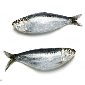 Wild Caught Small Whitefish
