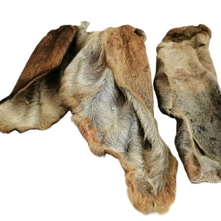 Hairy Goat Ears (6-Pack)
