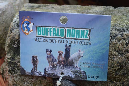 Buffalo Hornz