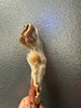 Goat Trotter With Fur