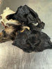 Goat Snouts