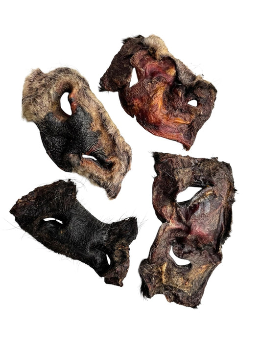 Hairy Beef Snout (2-Pack)