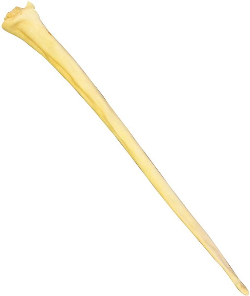 Steer Jerky Full Beef Tails (2-Pack)
