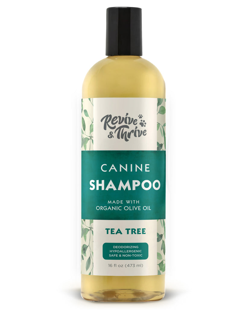R&T Tea Tree Holistic Relief for Itchy, Irritated Skin Canine Shampoo